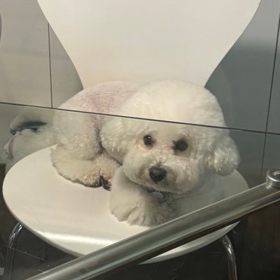 Gahunuj's profile picture. 交換留学生/