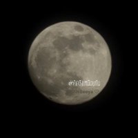 NaBeeya 🦋 (@nabeeya__) 's Twitter Profile Photo