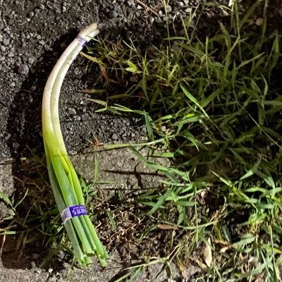 faraway_outline's profile picture. 日々の暮らしの側にある、アナタの雑多アカウントｯ