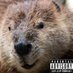 ؘ (@war_beaver) Twitter profile photo ؘ (@war_beaver) Twitter profile photo