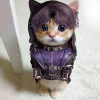 Geul (@geul029) 's Twitter Profile