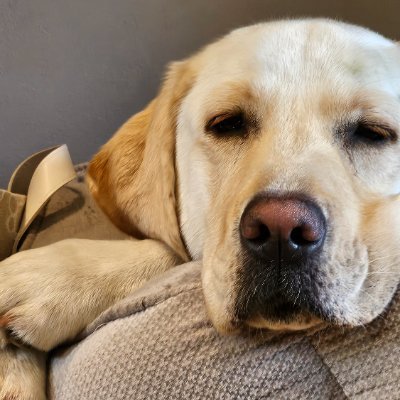 MoConner_85's profile picture. Tall, dark and handsome.