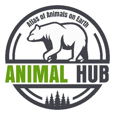 Atlas of Animals on Earth - Join us in exploring the animal kingdom while having fun along the way! Some of the images posted here are AI-generated.