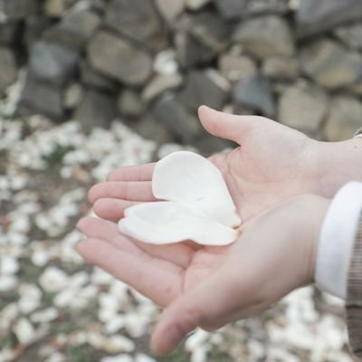 kims_0205's profile picture. 