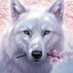 狼 (@white_wolf953) Twitter profile photo 狼 (@white_wolf953) Twitter profile photo