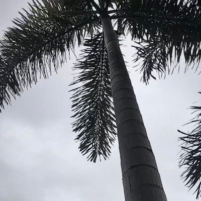 loui1286693's profile picture. 