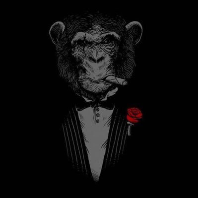 iamzozo2's profile picture. 