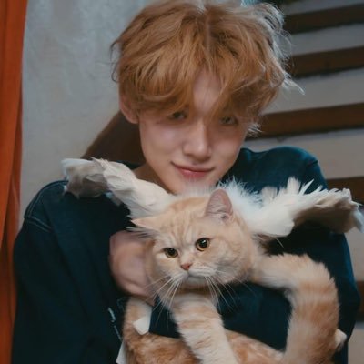 numooniverse's profile picture. 