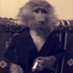 Kvem ๐บ๐ฆ (@kvem_csgo) Twitter profile photo Kvem ๐บ๐ฆ (@kvem_csgo) Twitter profile photo
