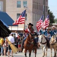 C Harrison (@ch76834) 's Twitter Profile