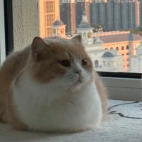 Mary (@arysrsuwei) 's Twitter Profile