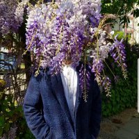tazerevis (@tersisivere1) 's Twitter Profile Photo tazerevis (@tersisivere1) 's Twitter Profile Photo