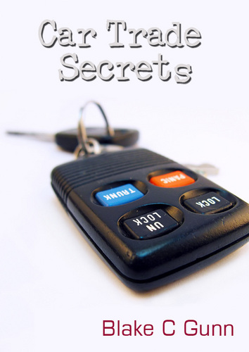 BlakeCGunn's profile picture. I'm Blake Gunn a crime fiction writer and businessman residing in the UK, nothing to do with #Blakes7.