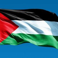 سيناء (@1s4yn9) 's Twitter Profile