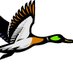 Green Duck Custom Furniture & Woodworking (@greenduckcustom) Twitter profile photo Green Duck Custom Furniture & Woodworking (@greenduckcustom) Twitter profile photo