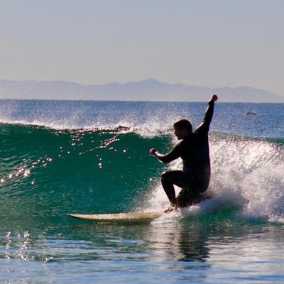 chishoniec's profile picture. A friend of a friend of a friend.