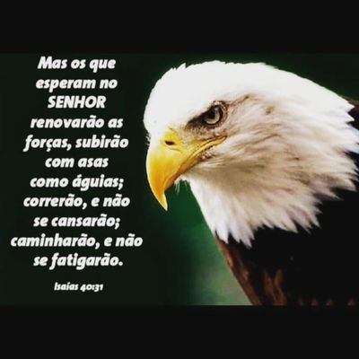Aryastos007's profile picture. Dios, patria, familia y libertad.
