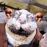 knstntnpl's profile picture. just when i try to get out they pull me back in
