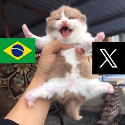 021 // menor fã da @Zec4_urubu💍