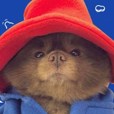 cryptographyme2's profile picture. 