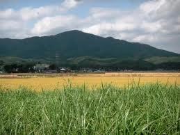 sprroonigtorces's profile picture. 手紙書くの大好きです！メールじゃなくて手紙よく書いてます！うっとうしくてごめんなさい(笑)