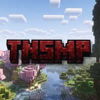 Totally Normal SMP 🥀 Apps SOON (@totalnormalsmp) 's Twitter Profile