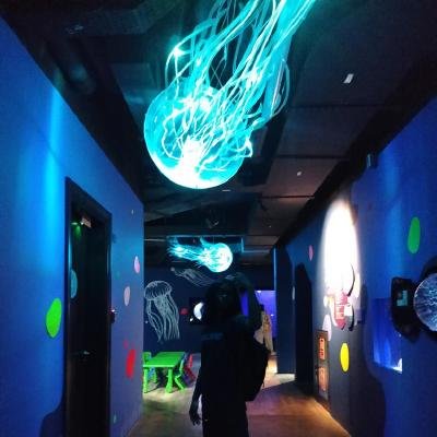 lovanirina_r's profile picture. Malagasy 🇲🇬  | Software Developer