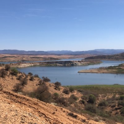 LyesAbouSafia's profile picture. 