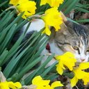 Mindy Herbert - @majickat - Twitter