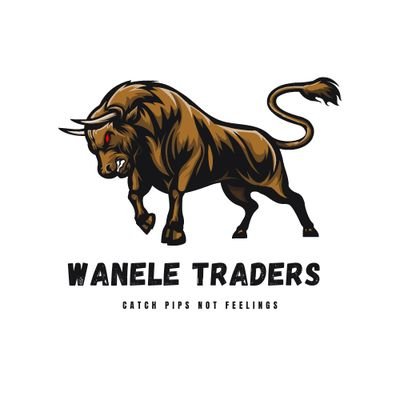 wanele_fx's profile picture. Newton's Law of Forex | Instagram: @wanele_traders