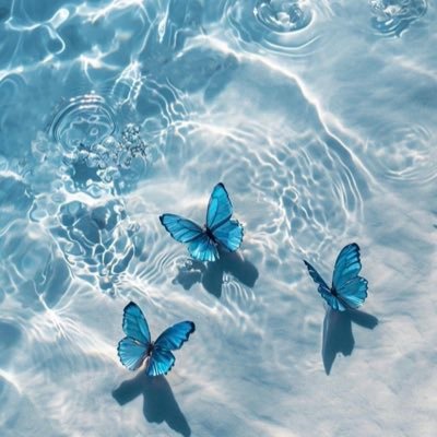 i_s_v_20's profile picture. 