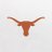Texas Longhorns