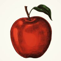 Red Apple (@redapplels) 's Twitter Profile