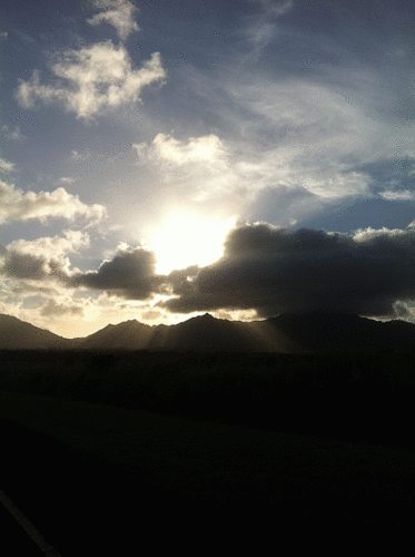 BruddahMike's profile picture. 