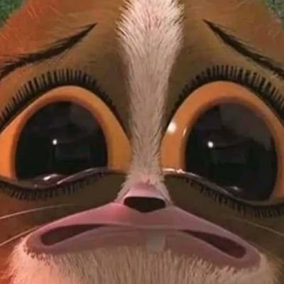 Sasaさんのプロフィール画像