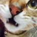 ぶんぶん (@tsmysyk) Twitter profile photo ぶんぶん (@tsmysyk) Twitter profile photo