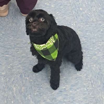 myaa71's profile picture. //baby//