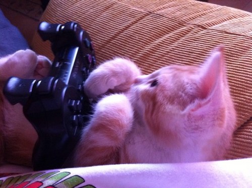 Alber_SoulDj's profile picture. Era Hater en @quedadafriki pero es que GH es droga. Nintendo, tú antes molabas.