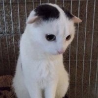 gothcroft (@gothcroft) 's Twitter Profile Photo gothcroft (@gothcroft) 's Twitter Profile Photo