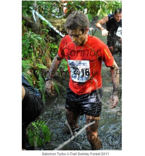 pareeve's profile picture. Interested in how enterprises get value from data.