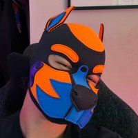 PupSpry (@pup_cup3) 's Twitter Profile