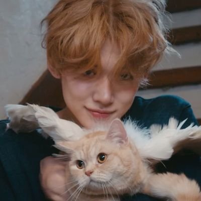 zangnamja's profile picture. my 1st n last cyj ౨ৎ / #soojun #beomjun / ลัทธิยอนเหมียว 😾 #TXT
