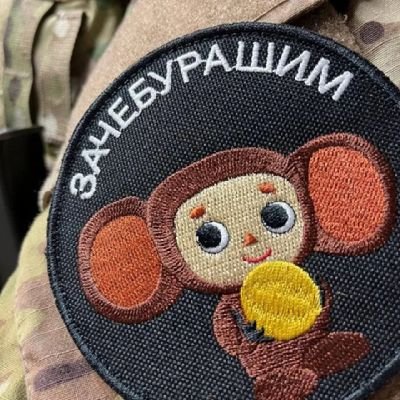 Cheburashka2422's profile picture. 