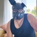 Pup Ember 💙🐾 (he/him) (@pupember_83) Twitter profile photo Pup Ember 💙🐾 (he/him) (@pupember_83) Twitter profile photo