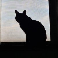 🕯김고빵(덕질중)🕯 (@gobbangkim) 's Twitter Profile Photo