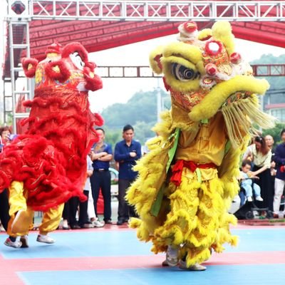 HX926962's profile picture. 💯💯💯互fo❤️聽楚昭風吟 閲世界之美
The world is so big, and I will go and see.