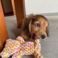 大学生たろう (@wry0506) 's Twitter Profile