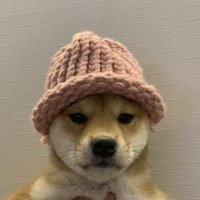 Maggie (@maggie13_s) Twitter profile photo