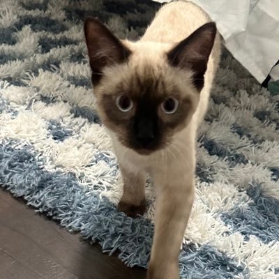ElizabethGrowth's profile picture. Mom, CPA, an investor, and lifelong learner.