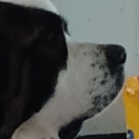 Kira Valon (@kiravalon) 's Twitter Profile